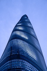 1000255268