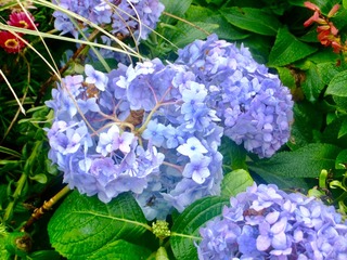 5358DB47-1CA4-4C81-A36C-C66C39E9CEBB/L0/001