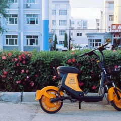 120043
