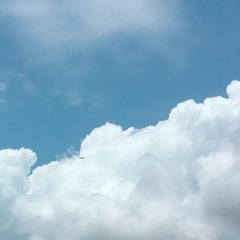 7E8BDAB0-7238-42D1-9437-4F14D484A2E9/L0/001