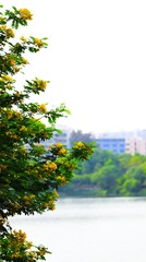 BEB9DAA3-E790-476D-BEB1-4EE9DCD538E7/L0/001