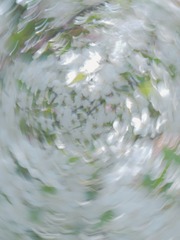 43C19803-67BB-42DB-A740-0CE7D48093A0/L0/001