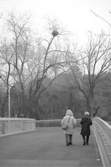 7DC73A0C-08FA-4135-B252-7C24A6ECB83F/L0/001