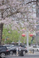 6AB114E3-F2A1-4B6B-ACEE-D51462432BC4/L0/001