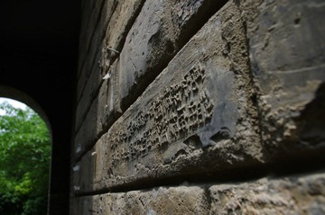 IMGP4423.jpg