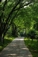 IMGP4494.jpg