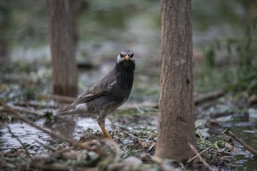 5126398