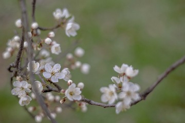 E7AC635A-11AA-4007-9F14-5C66F88C18E2/L0/001