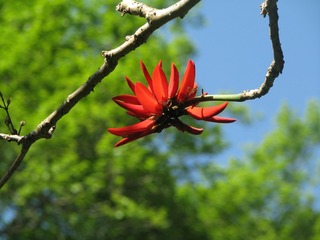DE4E0E6C-3F0A-408E-B275-546DBF487AB4/L0/001