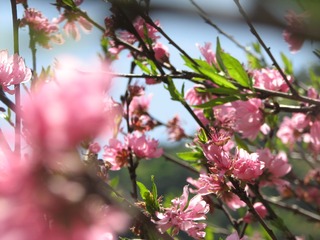 113F27DE-73CB-48CA-9E15-11A3A66AD406/L0/001