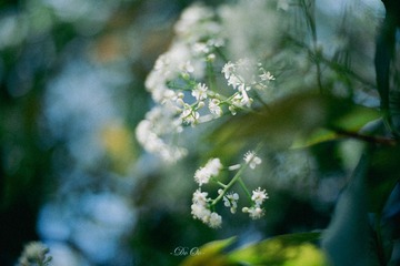 37B2BB43-E751-4211-8EB4-5407AC220586/L0/001