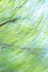 7298CA11-F515-4683-A6F9-5B0D7A549E49/L0/001