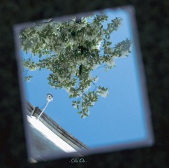 747D95D4-739A-4BB6-9DA9-423FE3FA4B01/L0/001