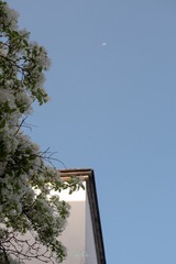 4FC6C695-A14E-45EF-AAC8-C1BAAA9F6D16/L0/001