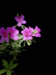 E88160F5-DF45-4516-B20D-4E43D9069D58/L0/001
