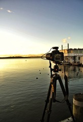 IMG_0029.jpg