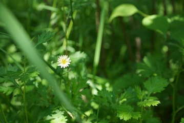 DSC00030.JPG
