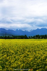 DSC00230-1.JPG