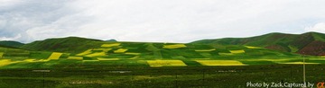 DSC00100.jpg