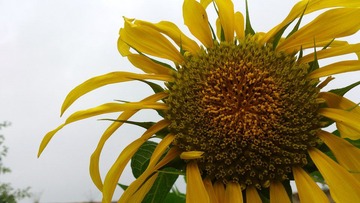 DSC_0341.jpg