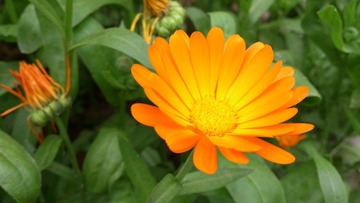DSC_0344.jpg