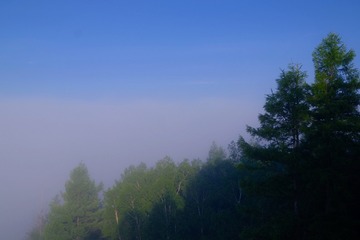 D37F4D69-FEF4-4F19-B024-D2C4C09CC27B/L0/001