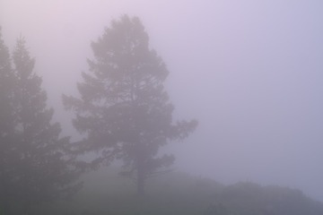 5014786C-3702-4623-982C-2FF1C7CB71F9/L0/001