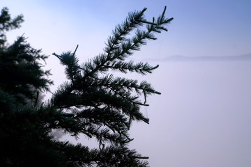 735F0B8E-BEED-453B-A231-99EBBBA10B91/L0/001