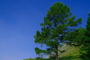 E0BBE28B-CA67-48F8-84A0-6776555FD606/L0/001