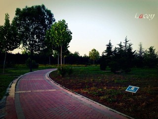 IMG_20120530_185112_副本.jpg