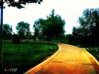 C360_2012-06-03-18-42-26_副本.jpg