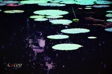 DSCF2464_副本.jpg