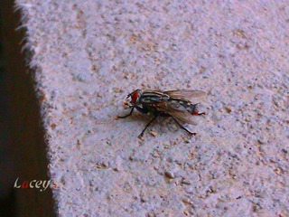 IMG_20120624_131954_副本.jpg