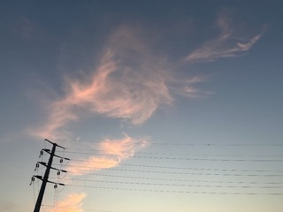 76B7F00D-A8B5-4F17-9D82-151B0DE0364C/L0/001