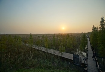 36440