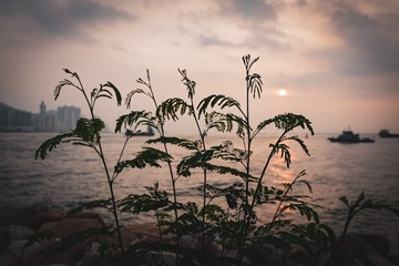 B3E98351-C9FA-4E2E-BD86-5AF17DE25D62/L0/001