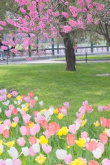 C353B15C-2FAC-4939-A248-9181B75685AB/L0/001