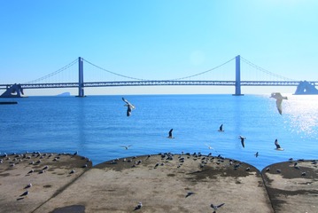 925B70DA-BBB6-4FF8-805D-9EE237F132A2/L0/001