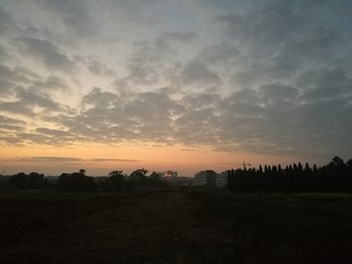 829