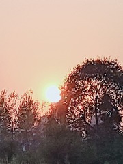 1000024564