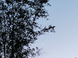 1000016701