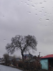 1000057975