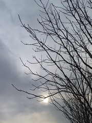 1000058025