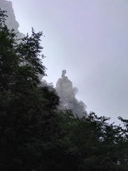2674491