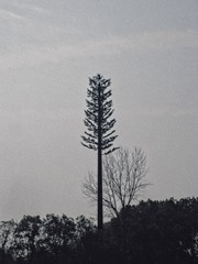 65296623-F3DE-4DF3-A687-7711D1108E1A/L0/001