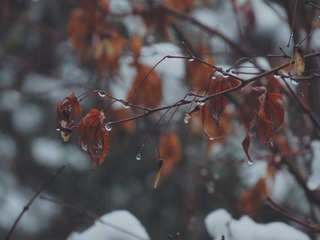 FAD09383-CC2A-46A4-A440-C591CE5C83FA/L0/001