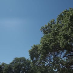 3A832ED3-73FA-4B86-85D6-57EA2CB2E76D/L0/001
