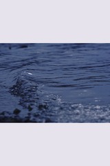 E8C6F808-D658-4446-974D-BFDEA40861F4/L0/001
