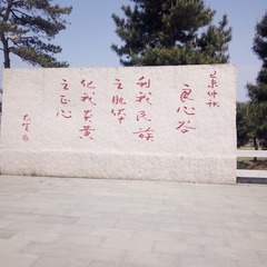 1633007