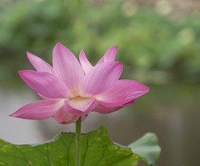 6381C945-5CBC-49DD-BA72-115BA1DA2580/L0/001
